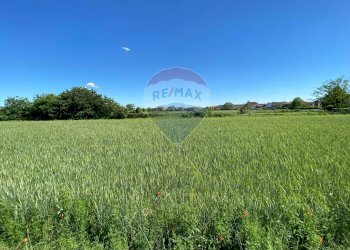 Giardino - Terreno edificabile via monsignor angiolo gambaro, Galliate - foto 17