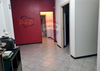 Hall / corridoio - Commercial Premises Catullo
 
8, Busto Arsizio - photo 22