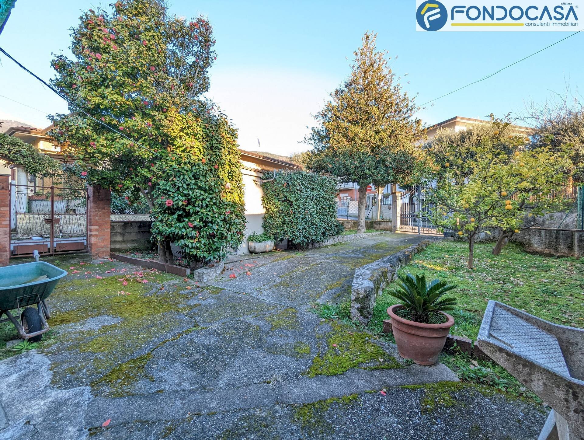 giardino - Rustic Via Debbia Vecchia, Montignoso - photo 2