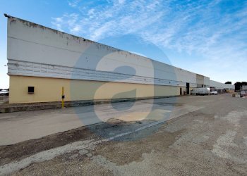 Foto 2 - Capannone Parco Commerciale Barese - SP 231, Bitonto - foto 2