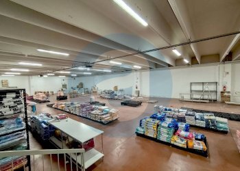 Foto 11 - Capannone Parco Commerciale Barese - SP 231, Bitonto - foto 11