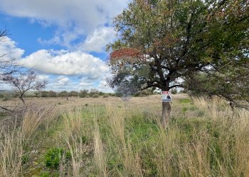 Vista delle montagne - Terreno agricolo C.da Scornavacche, Chiaramonte Gulfi - foto 7