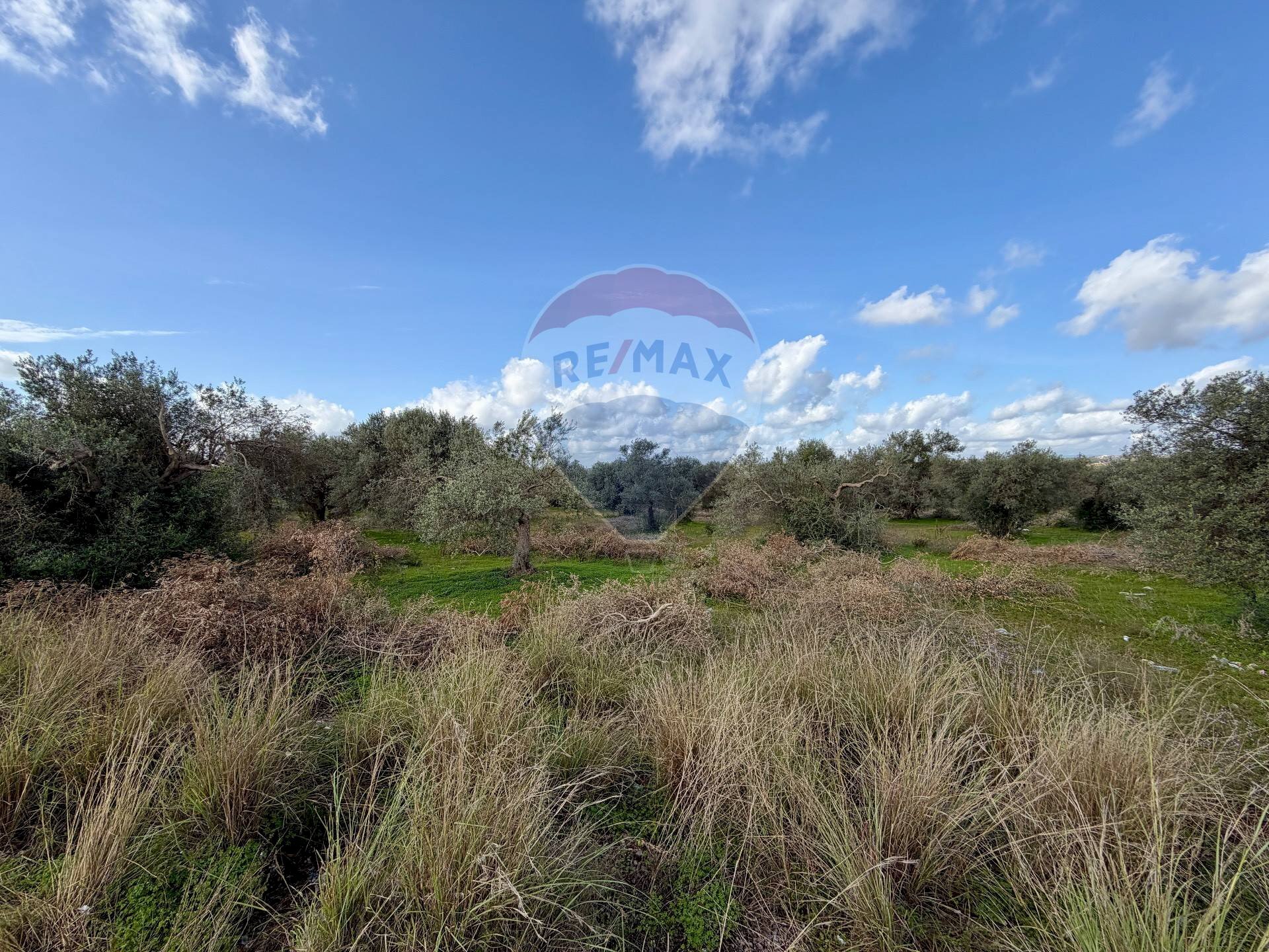 Vista delle montagne - Terreno agricolo C.da Scornavacche, Chiaramonte Gulfi - foto 2