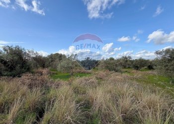 Vista delle montagne - Terreno agricolo C.da Scornavacche, Chiaramonte Gulfi - foto 2