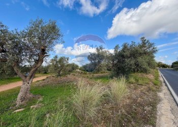 Giardino - Terreno agricolo C.da Scornavacche, Chiaramonte Gulfi - foto 4