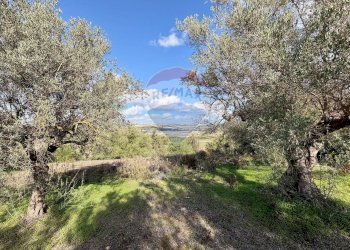 Giardino - Terreno agricolo C.da Scornavacche, Chiaramonte Gulfi - foto 8