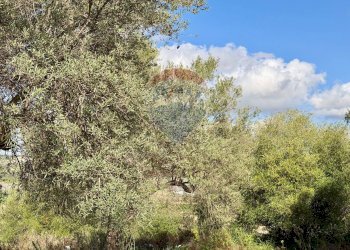 Edificio all\'aperto - Terreno agricolo C.da Scornavacche, Chiaramonte Gulfi - foto 9