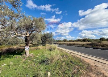 Giardino - Terreno agricolo C.da Scornavacche, Chiaramonte Gulfi - foto 11
