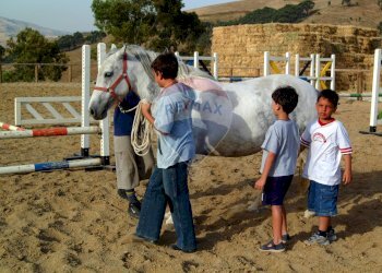 Non correlato - Rustico Petralia Sottana - foto 29