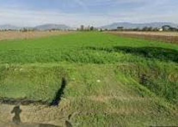 Foto 1 - Terreno agricolo Via Provinciale Belvedere -
 
29, Capannoli - foto 1