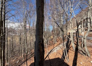 Edificio all\'aperto - Trilocale via Rote Trabucco
 
SNC, San Massimo - foto 15