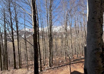 Vista delle montagne - Trilocale via Rote Trabucco
 
SNC, San Massimo - foto 18