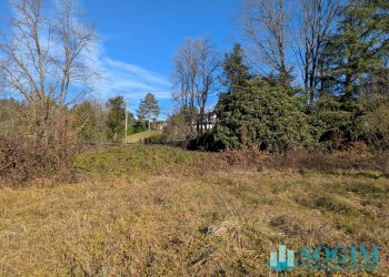 AREA - Terreno edificabile VIA BELLINI
 
SNC, Monguzzo - foto 9