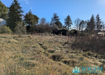 AREA - Terreno edificabile VIA BELLINI
 
SNC, Monguzzo - foto 11