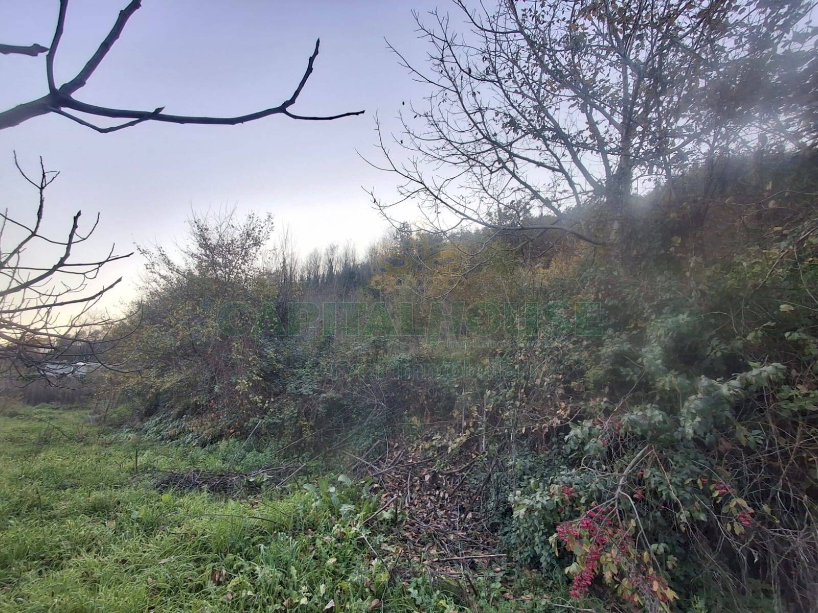 Foto 2 - Terreno agricolo Via delle Puglie, Mercato San Severino - foto 2