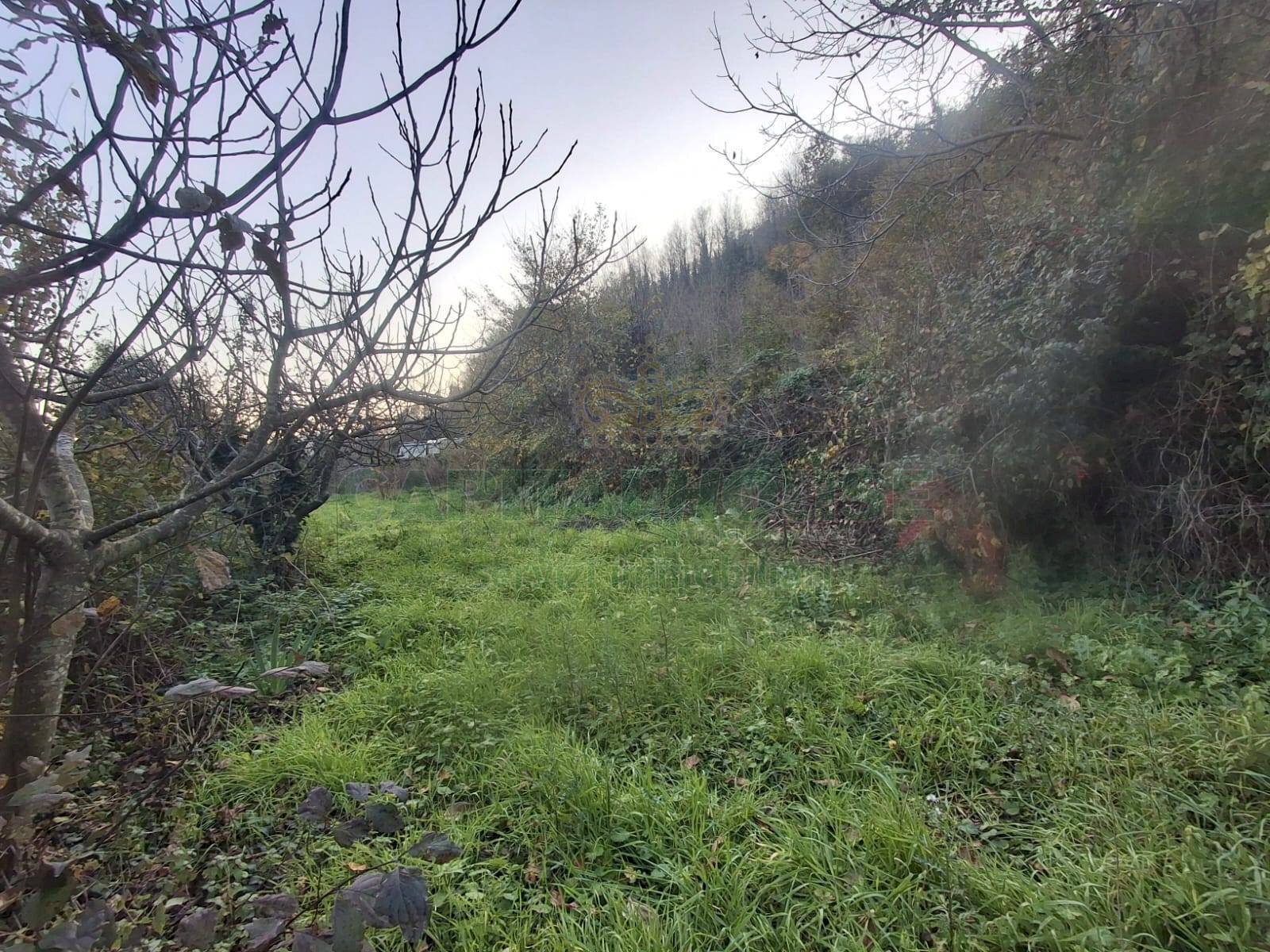 Foto 3 - Terreno agricolo Via delle Puglie, Mercato San Severino - foto 3