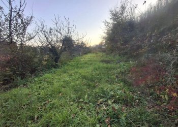 Foto 1 - Terreno agricolo Via delle Puglie, Mercato San Severino - foto 1