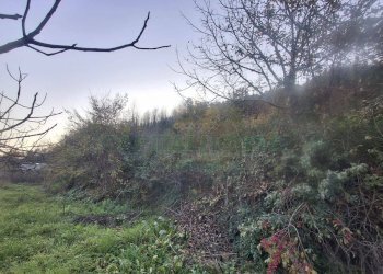 Foto 2 - Terreno agricolo Via delle Puglie, Mercato San Severino - foto 2