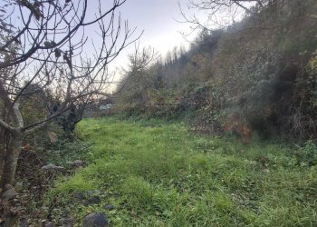 Foto 3 - Terreno agricolo Via delle Puglie, Mercato San Severino - foto 3