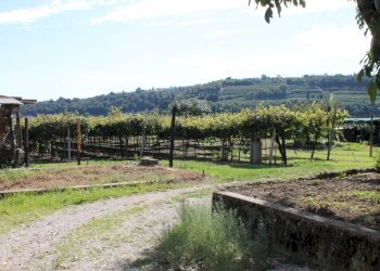 Foto 20 - Rustico via osteria
 
5, Lavagno - foto 20