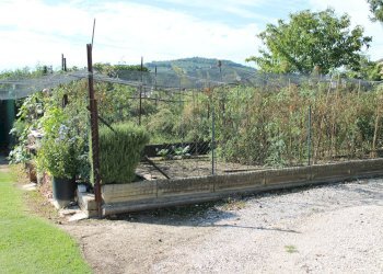 Foto 21 - Rustico via osteria
 
5, Lavagno - foto 21