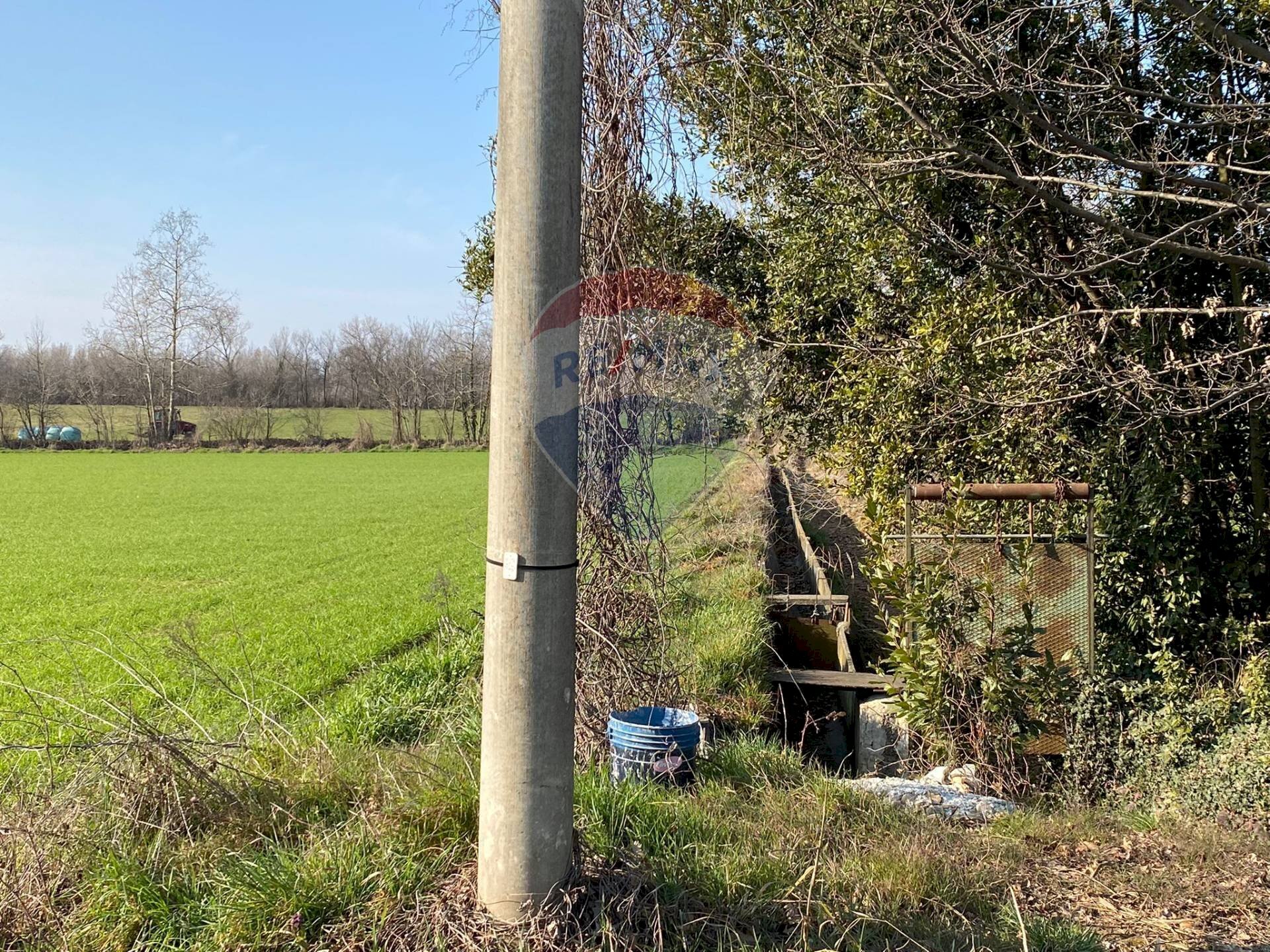 Giardino - Agricultural land Via Alessandro Volta
 
snc, Castenedolo - photo 1