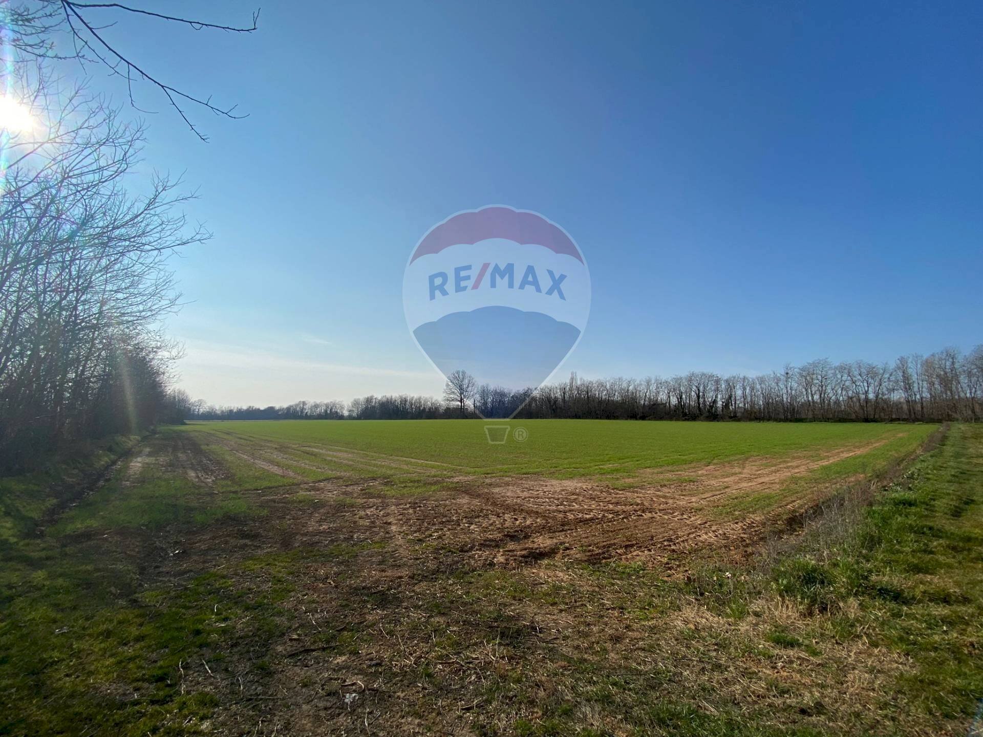 Giardino - Agricultural land Via Alessandro Volta
 
snc, Castenedolo - photo 2