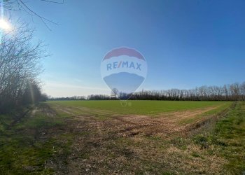 Giardino - Terreno agricolo Via Alessandro Volta
 
snc, Castenedolo - foto 2