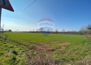 Giardino - Terreno agricolo Via Alessandro Volta
 
snc, Castenedolo - foto 3