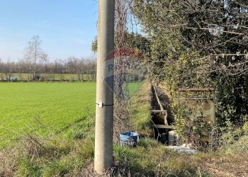 Giardino - Terreno agricolo Via Alessandro Volta
 
snc, Castenedolo - foto 4
