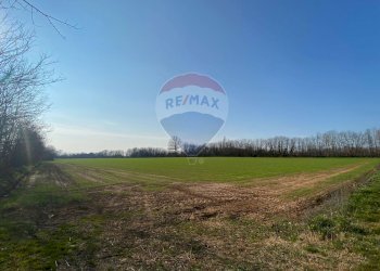 Giardino - Terreno agricolo Via Alessandro Volta
 
snc, Castenedolo - foto 5