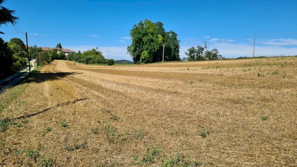 Terreno - Terreno edificabile Moncalvo - foto 1