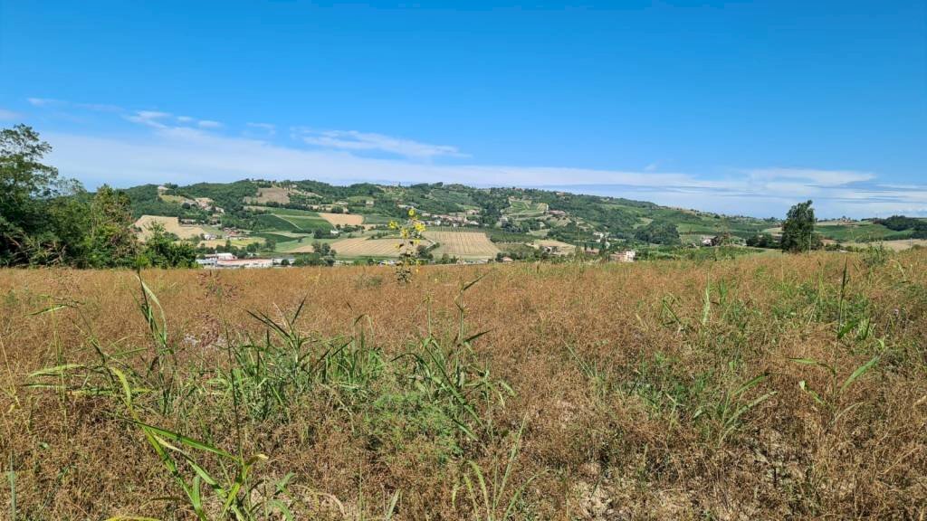 Terreno - Terreno edificabile Moncalvo - foto 2