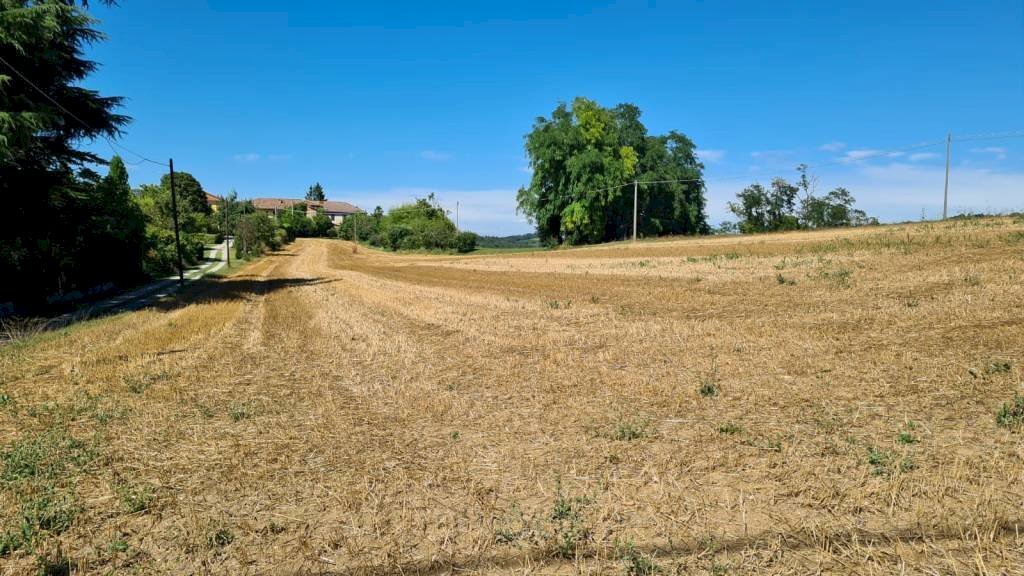 Terreno - Terreno edificabile Moncalvo - foto 3