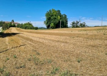 Terreno - Terreno edificabile Moncalvo - foto 1