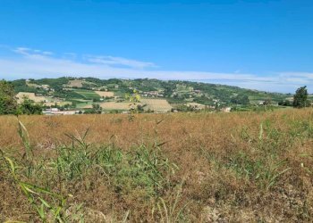 Terreno - Terreno edificabile Moncalvo - foto 2