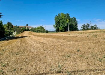 Terreno - Terreno edificabile Moncalvo - foto 3