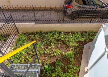 Foto 17 - Four-room apartment Via Monsignor Domenico Morea
 
18, Bari - photo 17