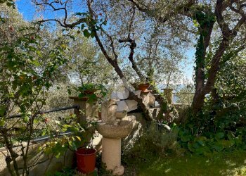 Villa Regione Beuzi, Taggia - foto 39