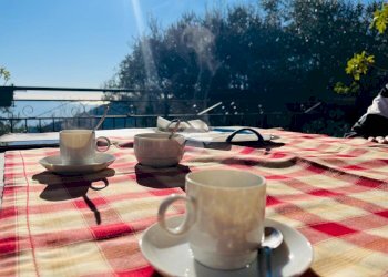 Villa Regione Beuzi, Taggia - foto 47