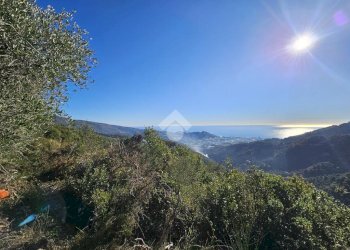 Villa Regione Beuzi, Taggia - foto 48