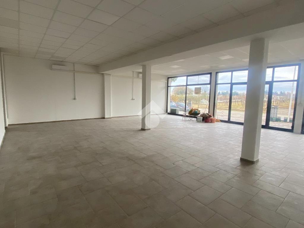 Negozio via Scossabrillo, Dozza - foto 2