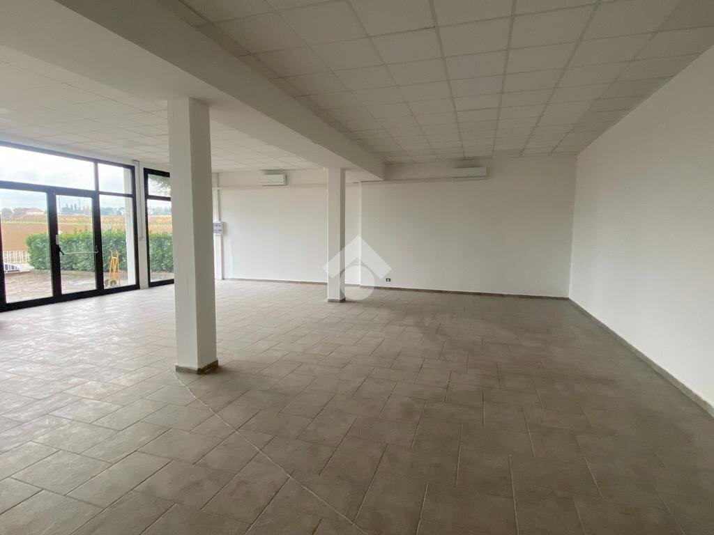 Negozio via Scossabrillo, Dozza - foto 3