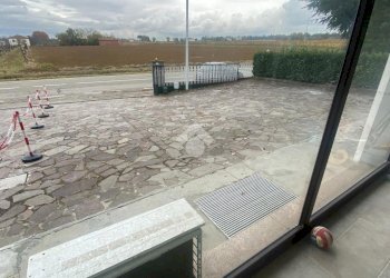 Negozio via Scossabrillo, Dozza - foto 8