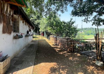 magazzino - Terreno agricolo Via Bazziola, Monteviale - foto 1