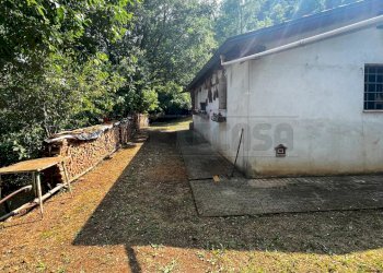 magazzino - Terreno agricolo Via Bazziola, Monteviale - foto 2