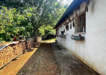 magazzino - Terreno agricolo Via Bazziola, Monteviale - foto 5