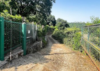 strada di accesso - Terreno agricolo Via Bazziola, Monteviale - foto 6