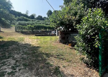 area recintata magazzino - Terreno agricolo Via Bazziola, Monteviale - foto 11