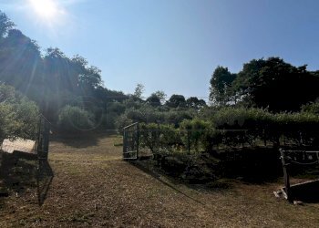 area esterna magazzino - Terreno agricolo Via Bazziola, Monteviale - foto 12